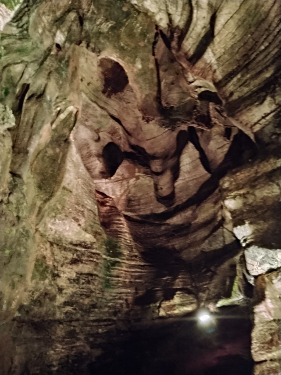 Отзыв о экскурсии "Поедем, поедим! Гастротур из Адлера" — фото 3