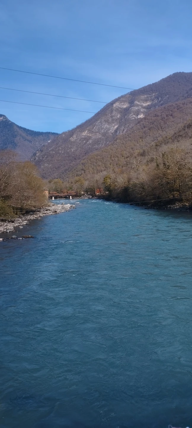 Отзыв о экскурсии "К озеру Рица — через главные красоты Абхазии" — фото 8