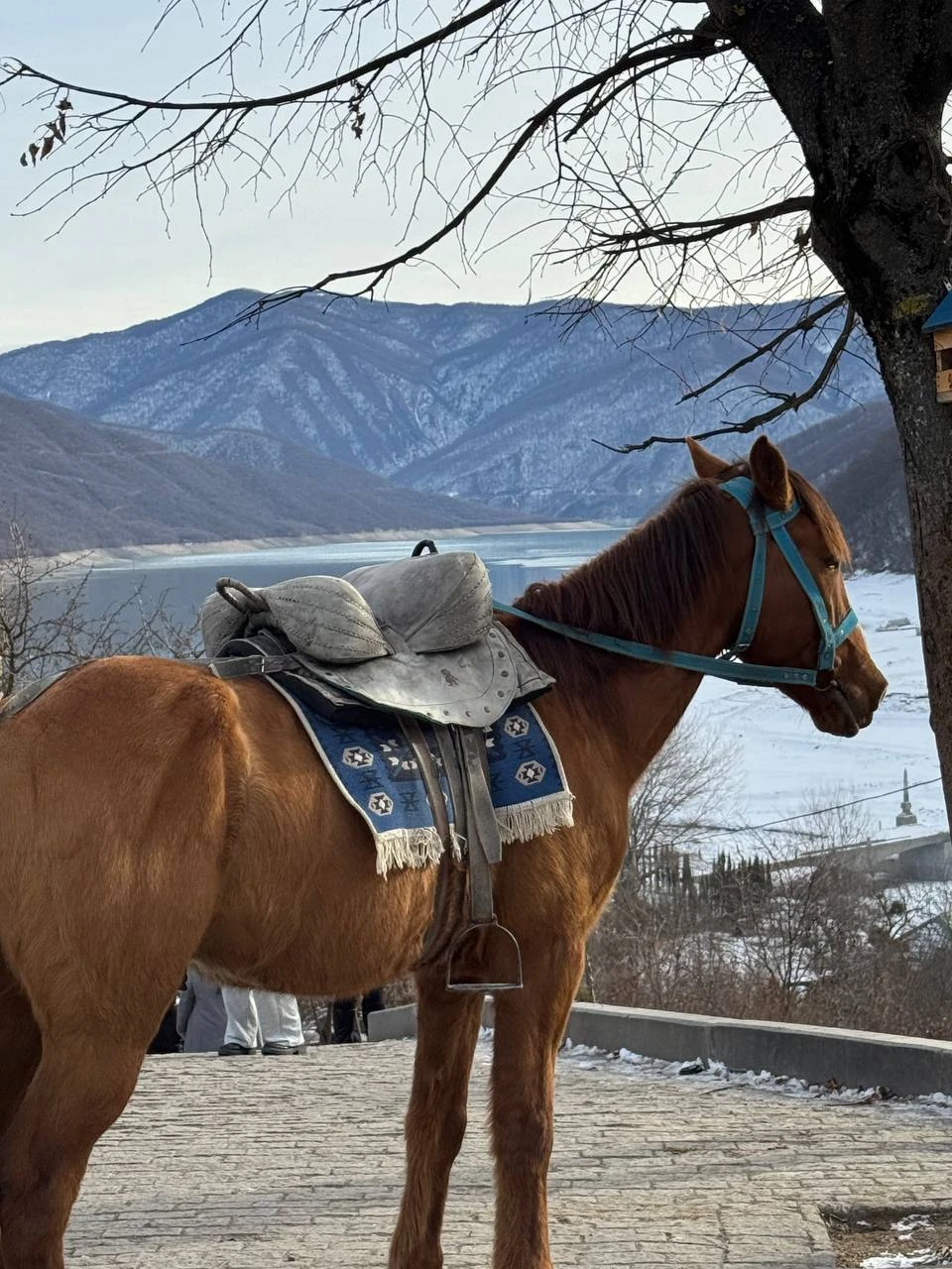 Отзыв о экскурсии "Групповая поездка из Тбилиси — в Казбеги и Гудаури" — фото 7