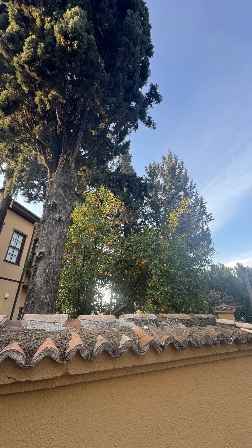 Фото путешественника — 4