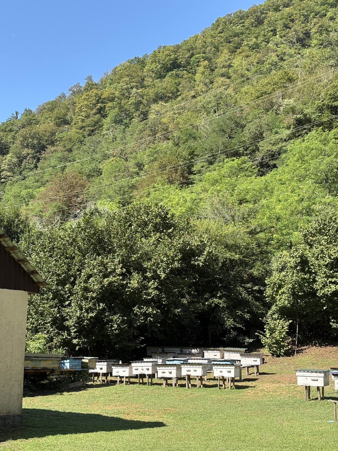 Фото путешественника — 6