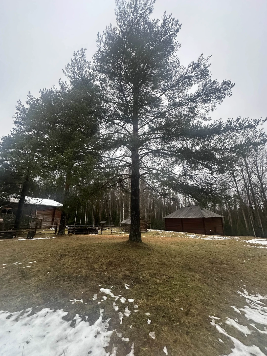 Отзыв о экскурсии "Из Архангельска — в музей Малые Корелы" — фото 2