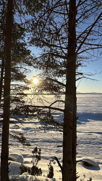 Отзывы об экскурсиях в Мурманске
