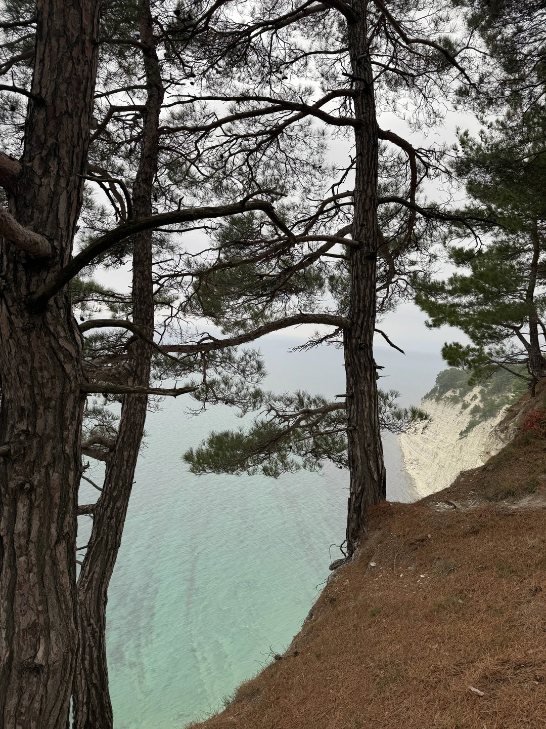 Фото путешественника — 4