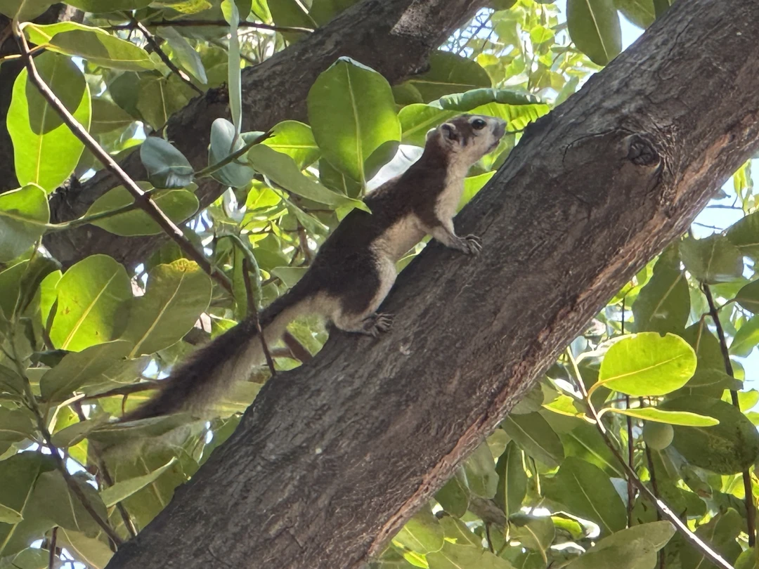 Отзыв о экскурсии "Из Бангкока в Аюттайю — древнюю столицу Сиама" — фото 1