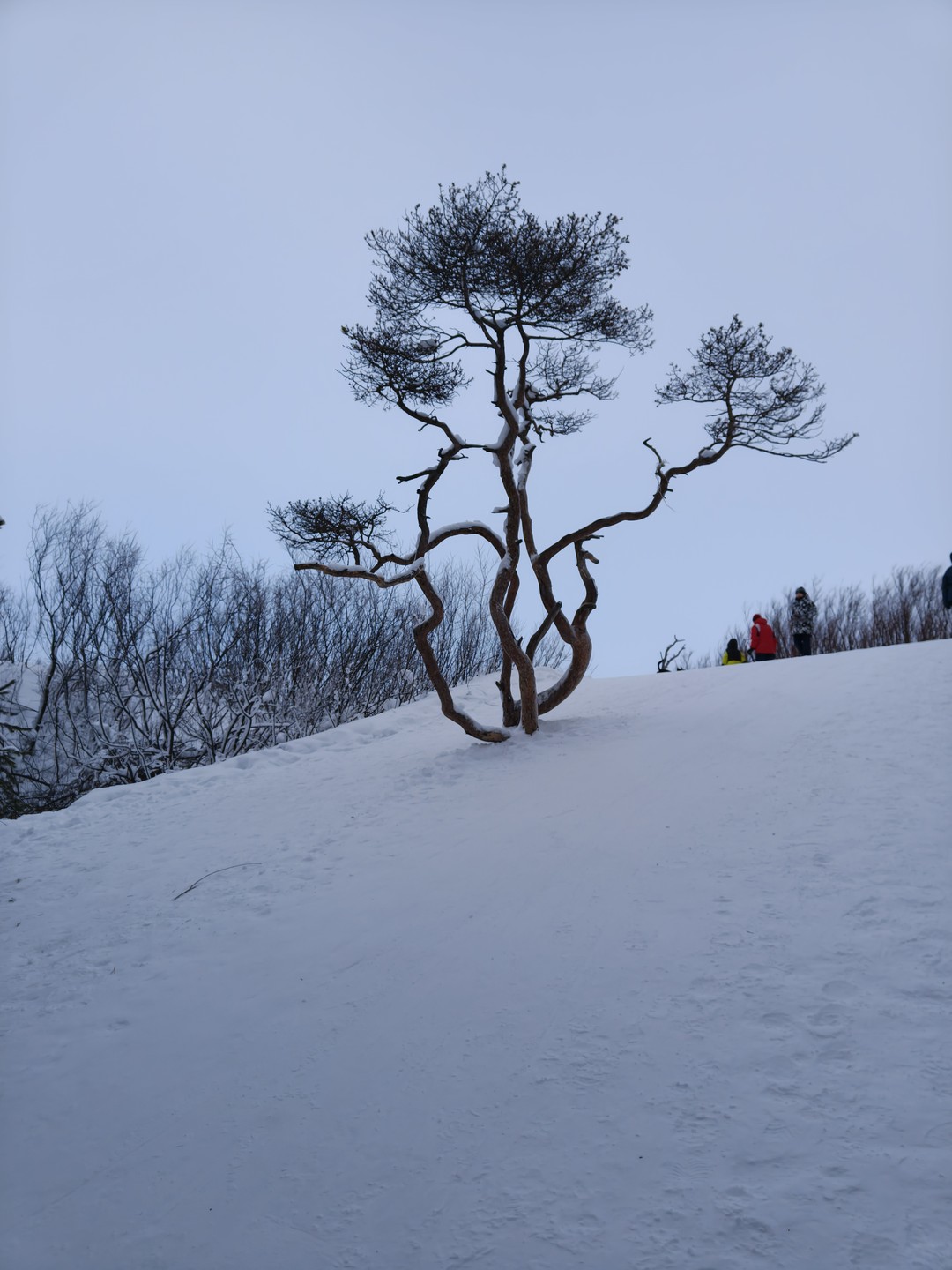 Отзыв о экскурсии "К Белому морю на остров Ягры" — фото 3