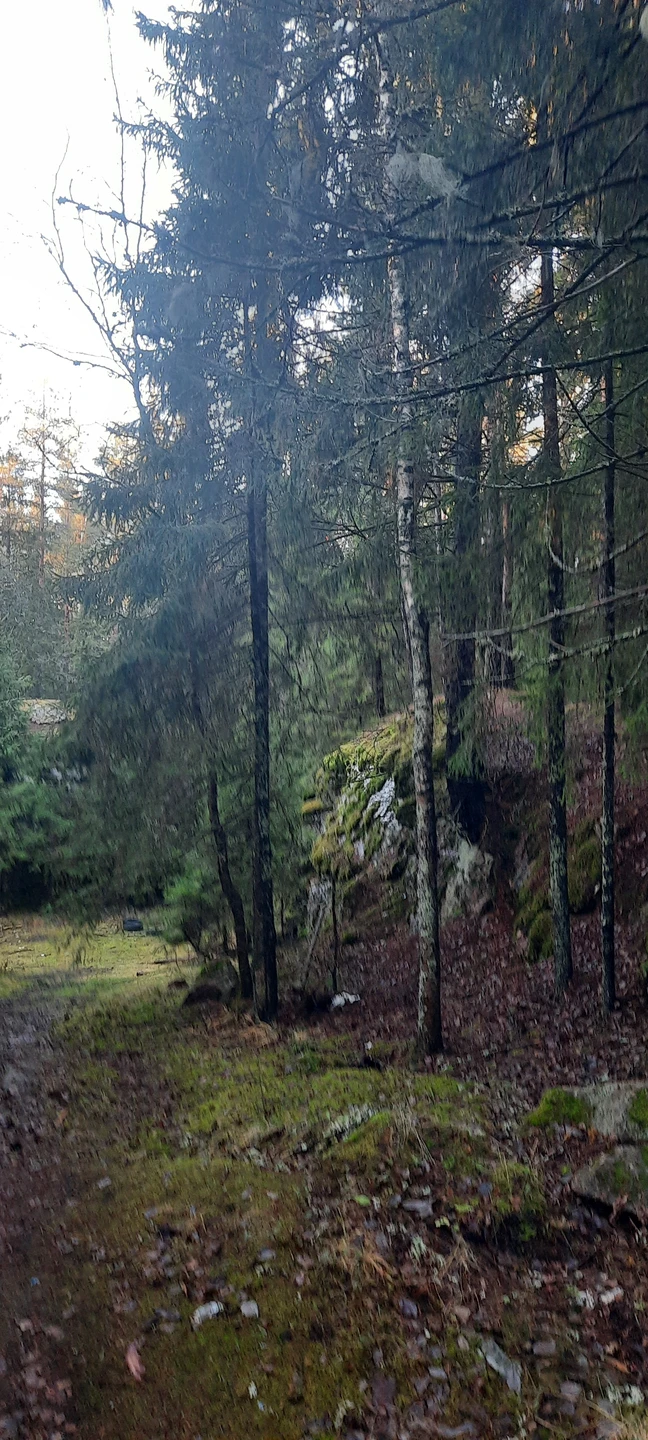 Отзыв о экскурсии "По Выборгу и его окрестностям" — фото 3