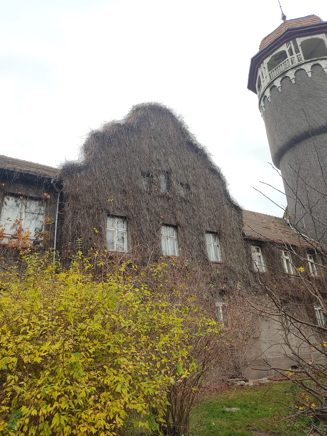 Фото путешественника — 2