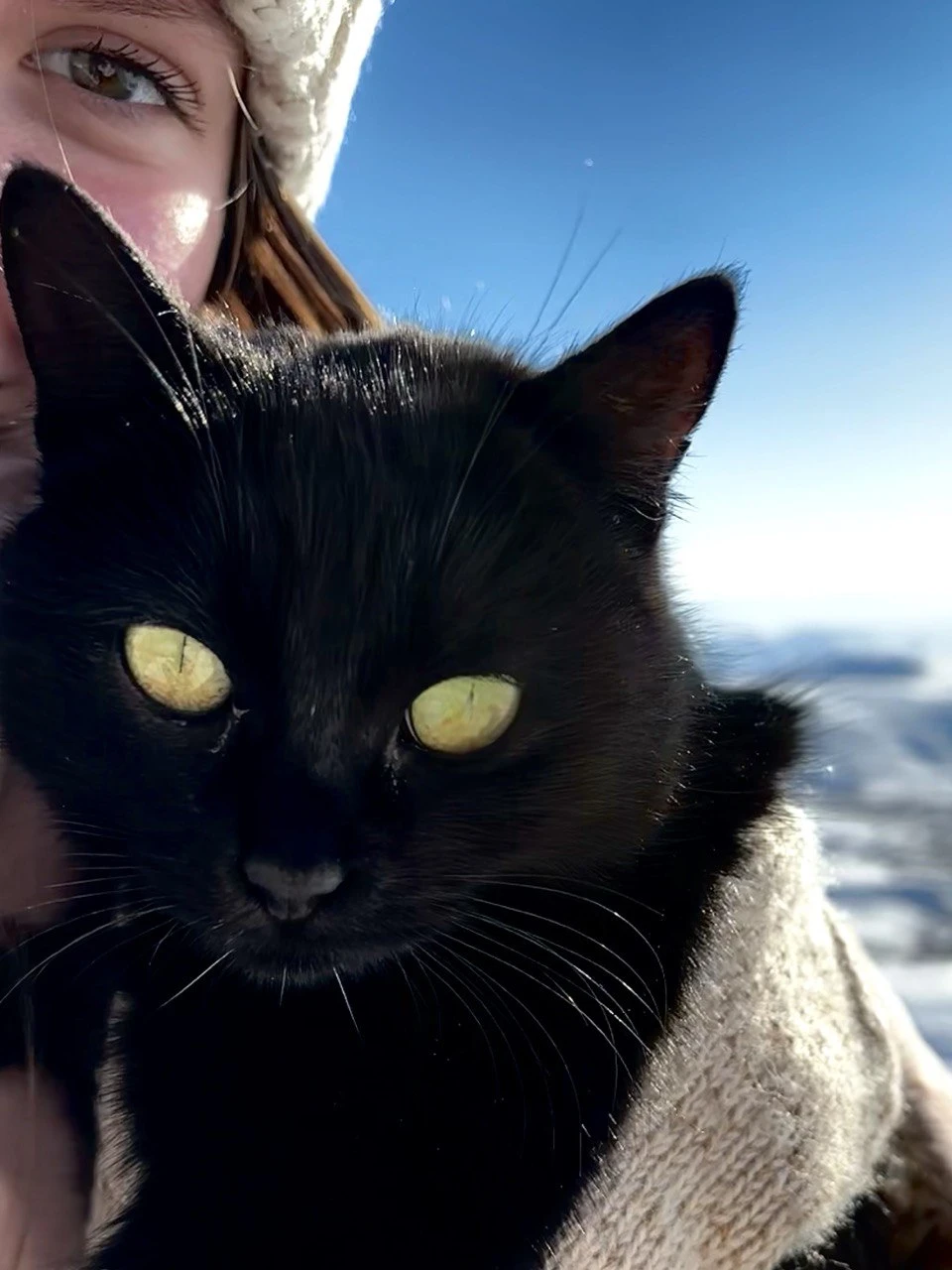 Фото путешественника — 8