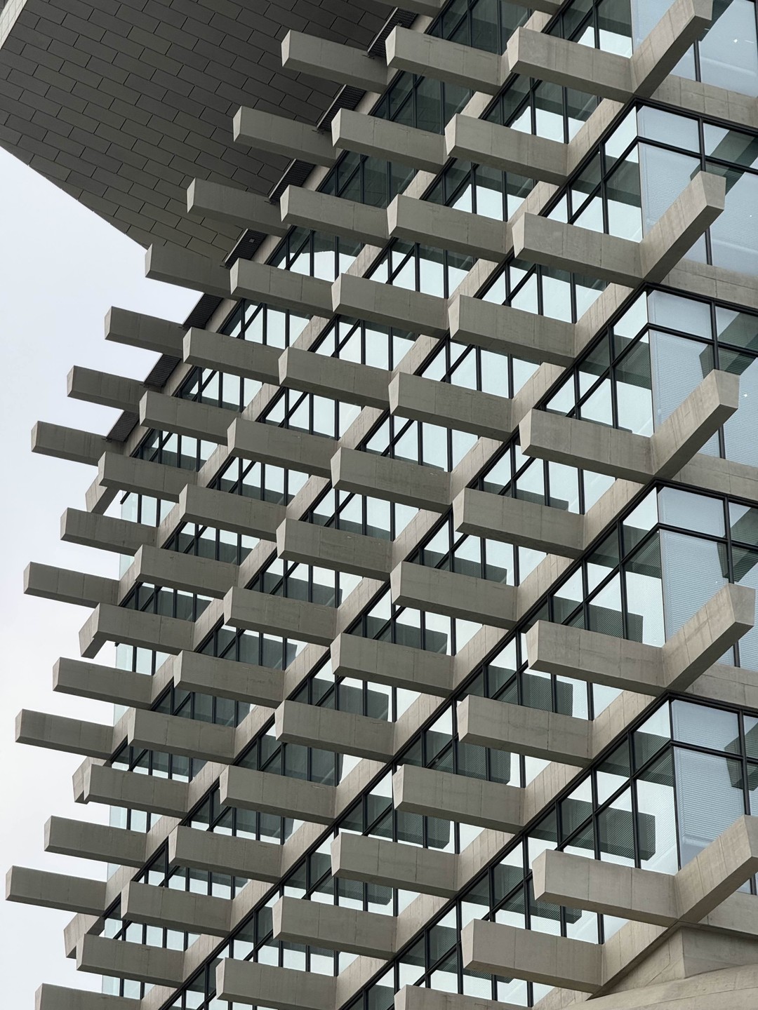 Отзыв о экскурсии "Сеул для любителей современного искусства и шопинга" — фото 4