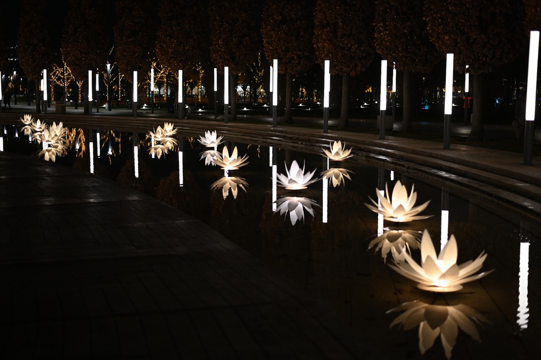 Отзыв о экскурсии "По Краснодару и парку Галицкого (пешком и на машине)" — фото 5