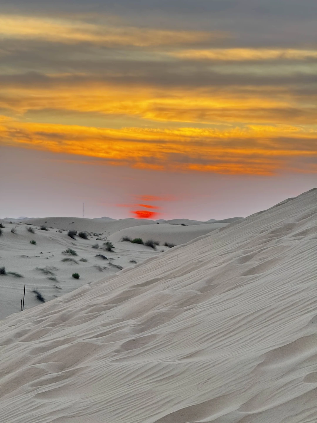 Отзыв о экскурсии "Сафари на джипах в Абу-Даби: песчаные дюны и арабский вечер" — фото 1