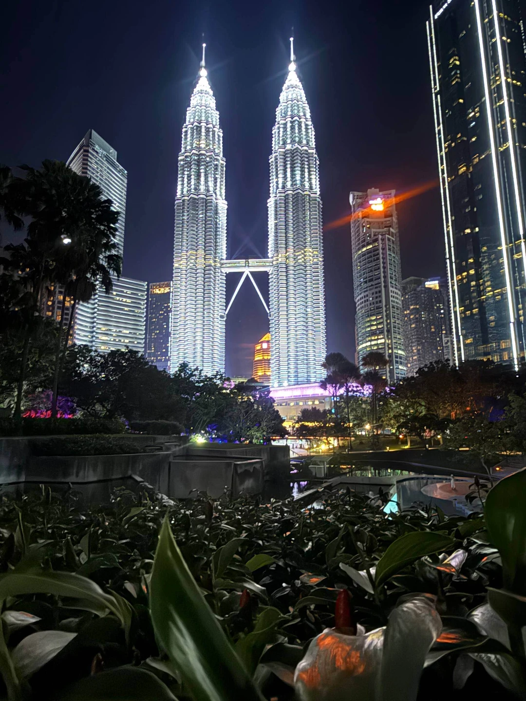 Отзыв о экскурсии "Большое путешествие по 5 странам Юго-Восточной Азии: Таиланд, Камбоджа, Вьетнам, Сингапур, Малайзия" — фото 1