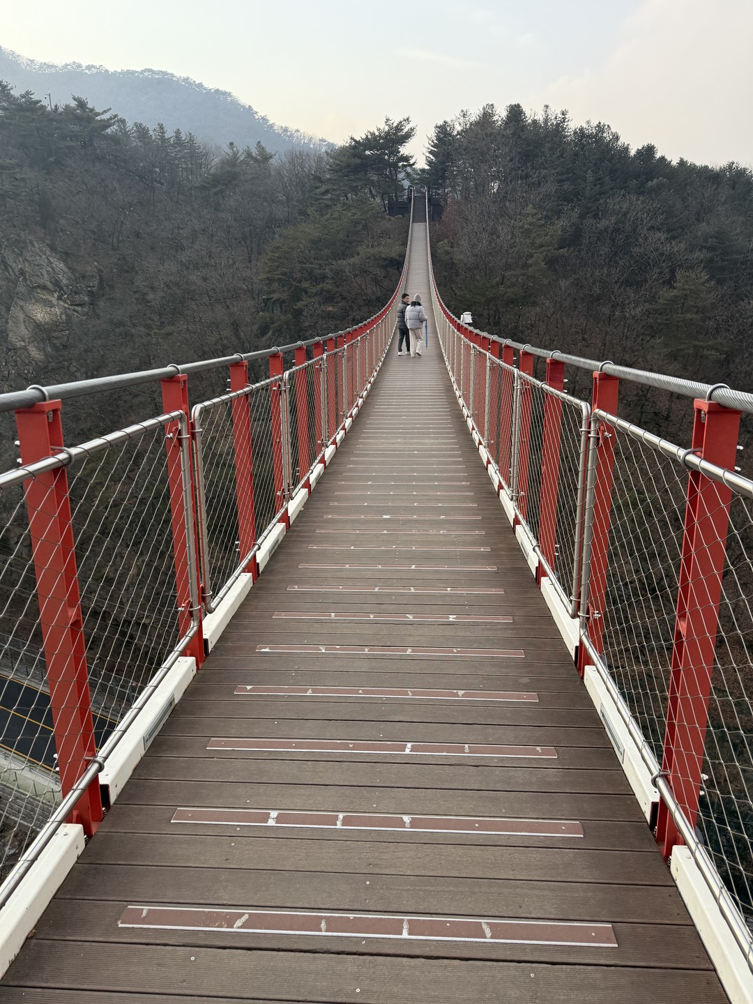 Отзыв о экскурсии "Из Сеула — в DMZ с посещением горного подвесного моста!" — фото 5