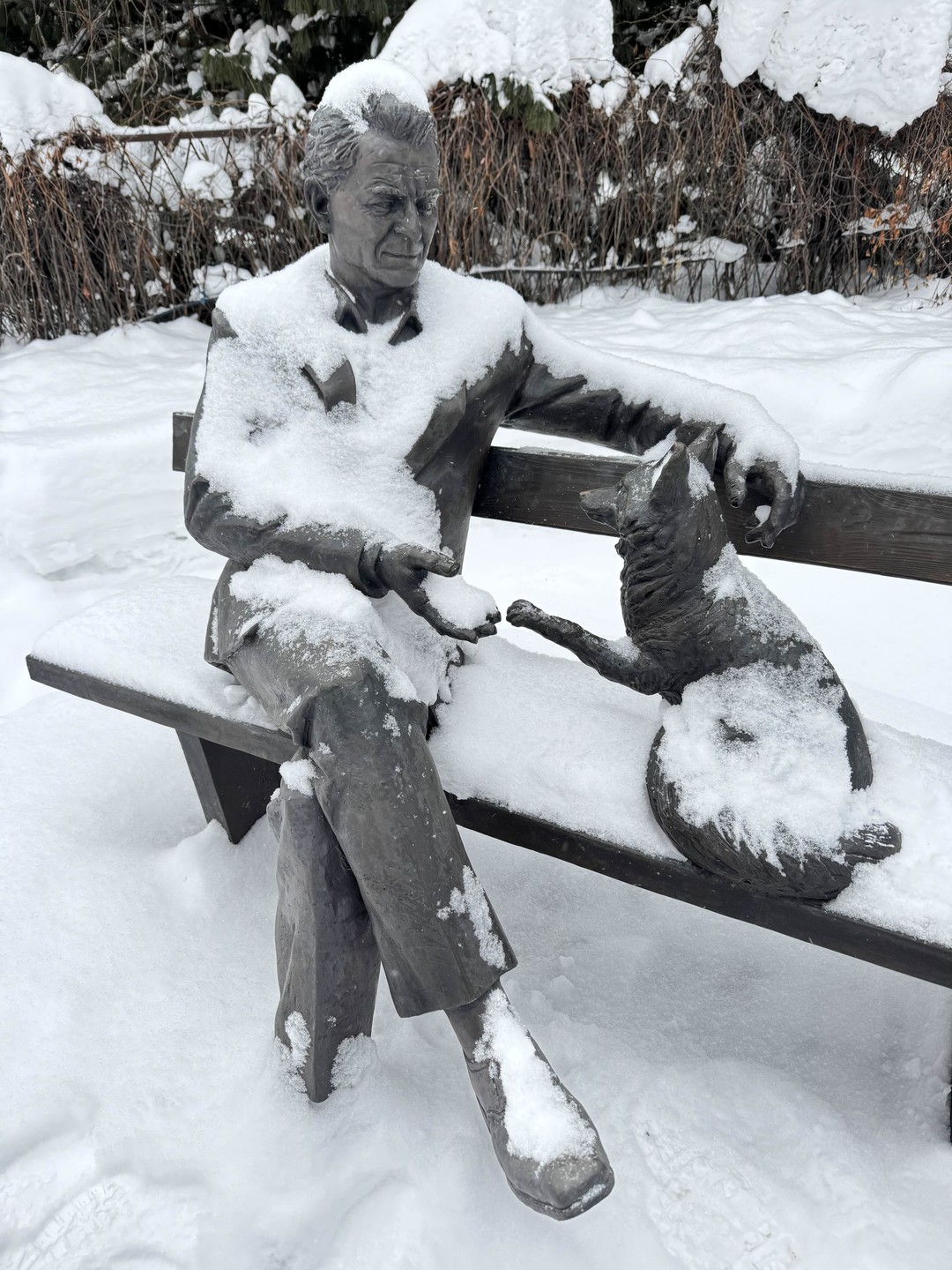 Отзыв о экскурсии "Живые истории Академгородка" — фото 2