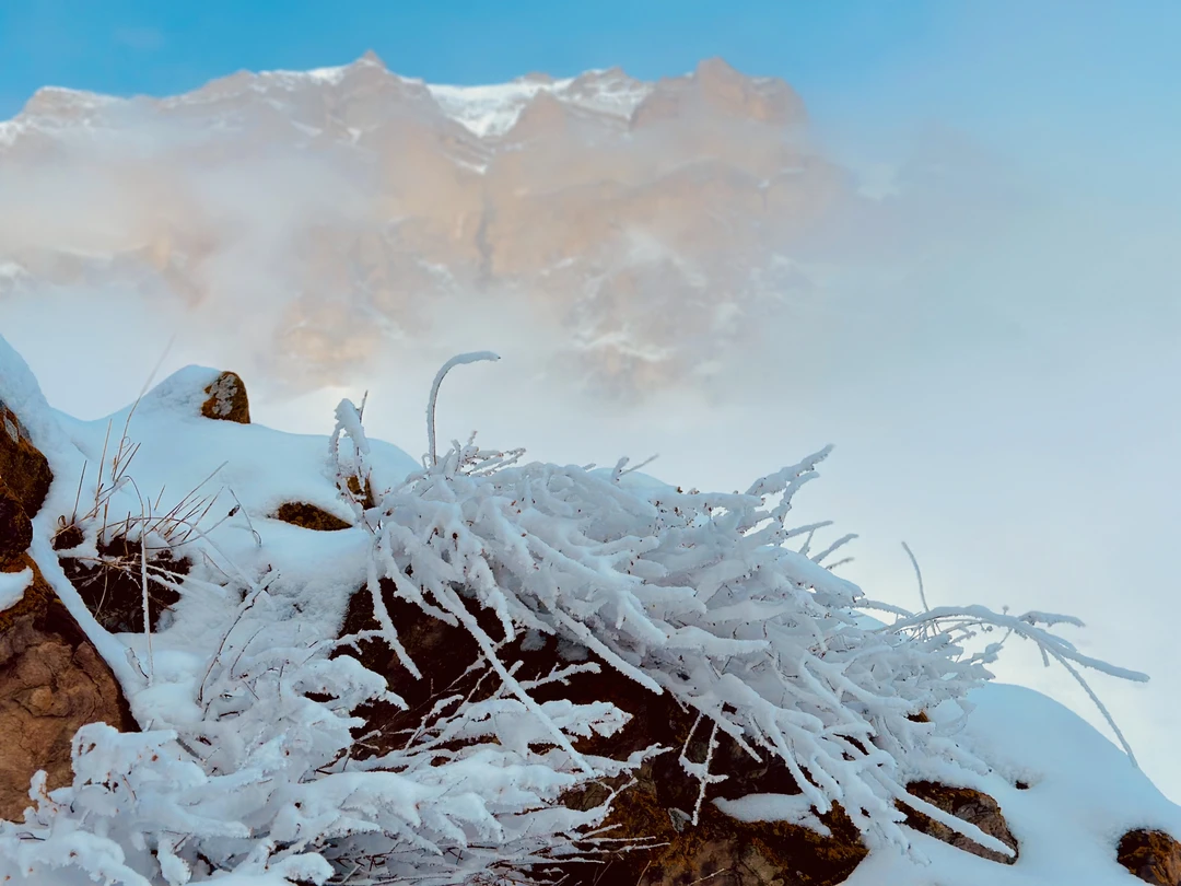 Отзыв о экскурсии "Язык Тролля и Верхняя Балкария в мини-группе из Ессентуков" — фото 3