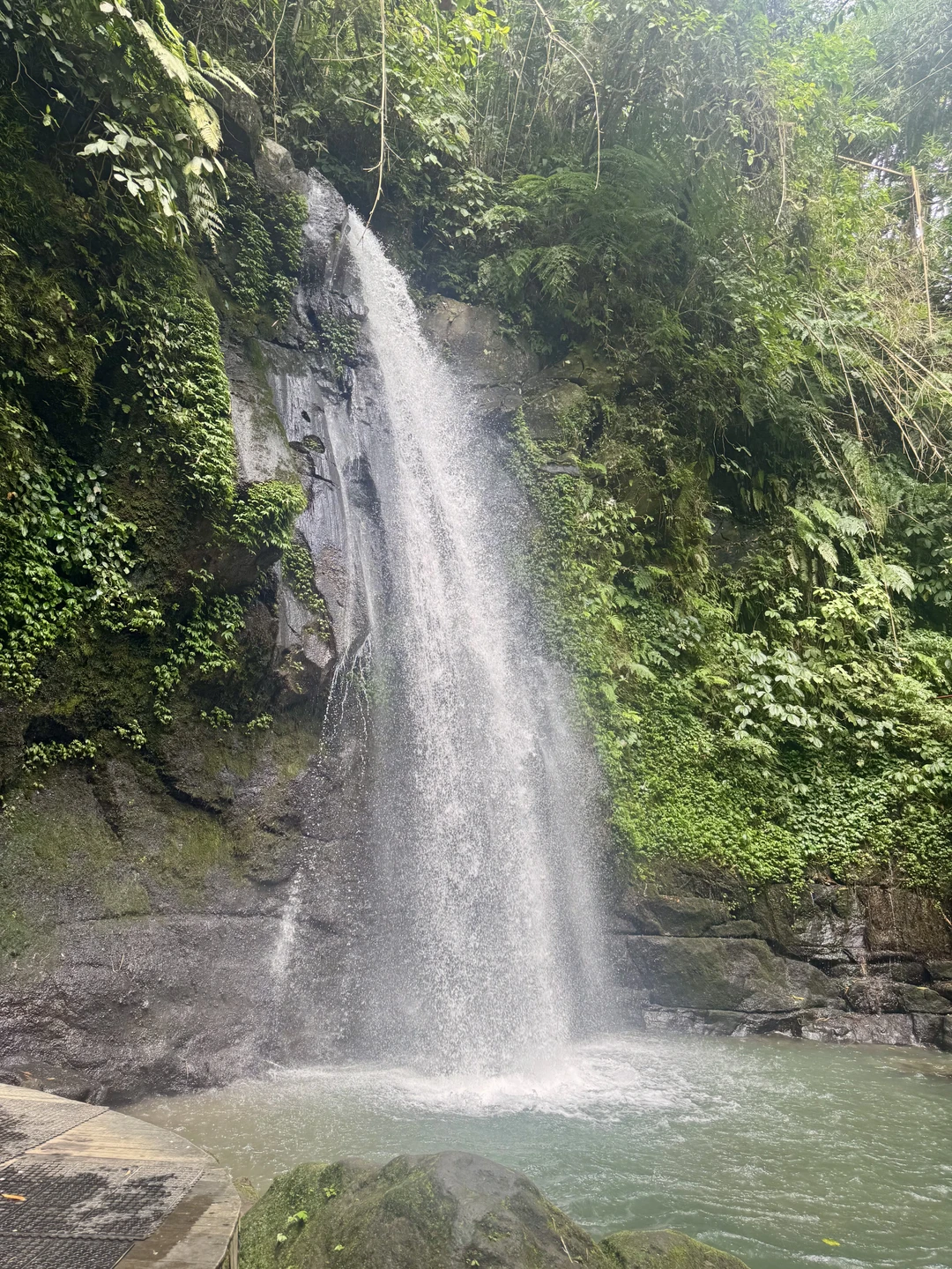 Отзыв о экскурсии "Все краски Бали" — фото 6