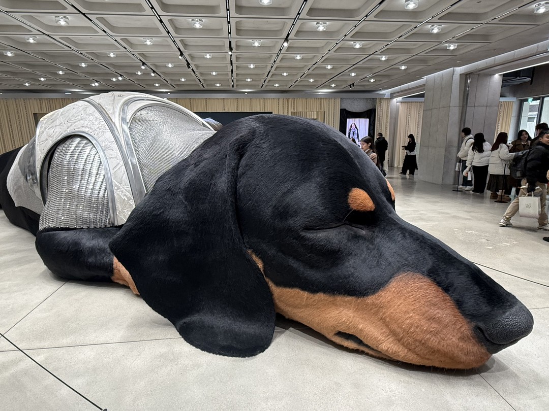 Отзыв о экскурсии "Сеул для любителей современного искусства и шопинга" — фото 2