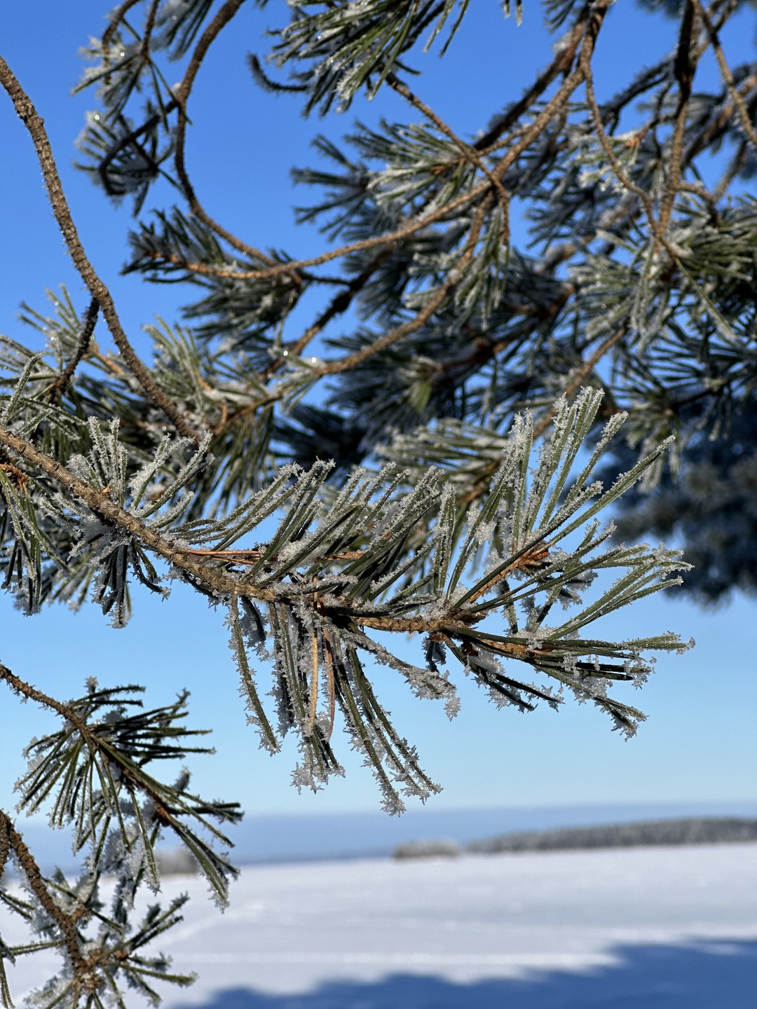 Фото путешественника — 3