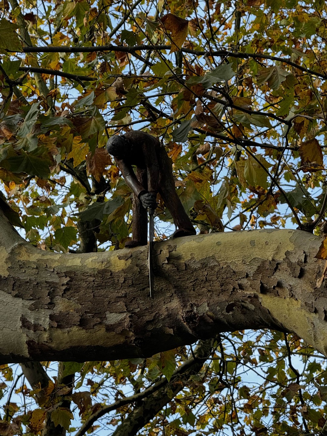 Отзыв о экскурсии "Аудиогид по Амстердаму" — фото 1