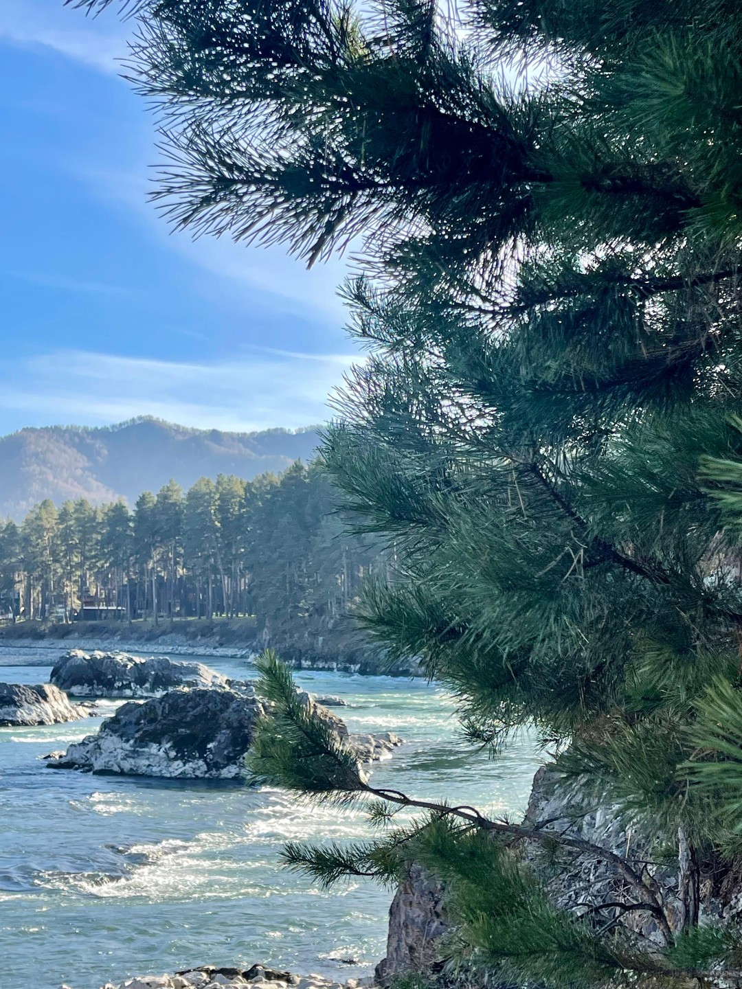 Отзыв о экскурсии "Долина Катуни — в гости к госпоже Горного Алтая" — фото 1