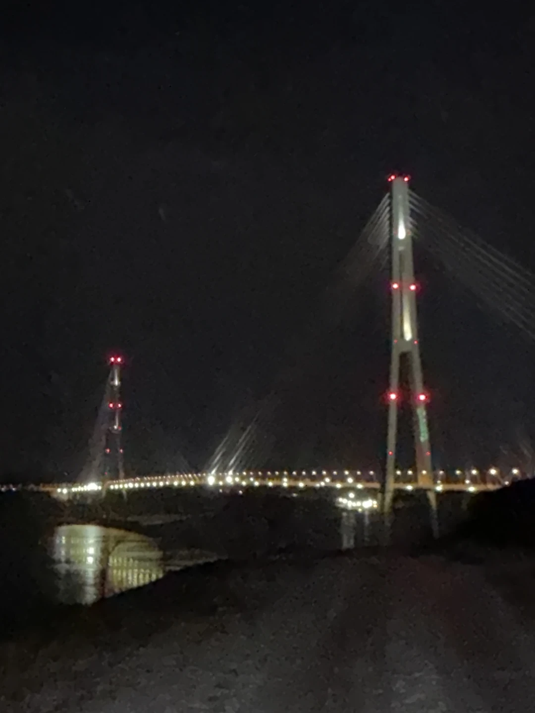 Отзыв о экскурсии "Ночные огни Владивостока (в группе)" — фото 2