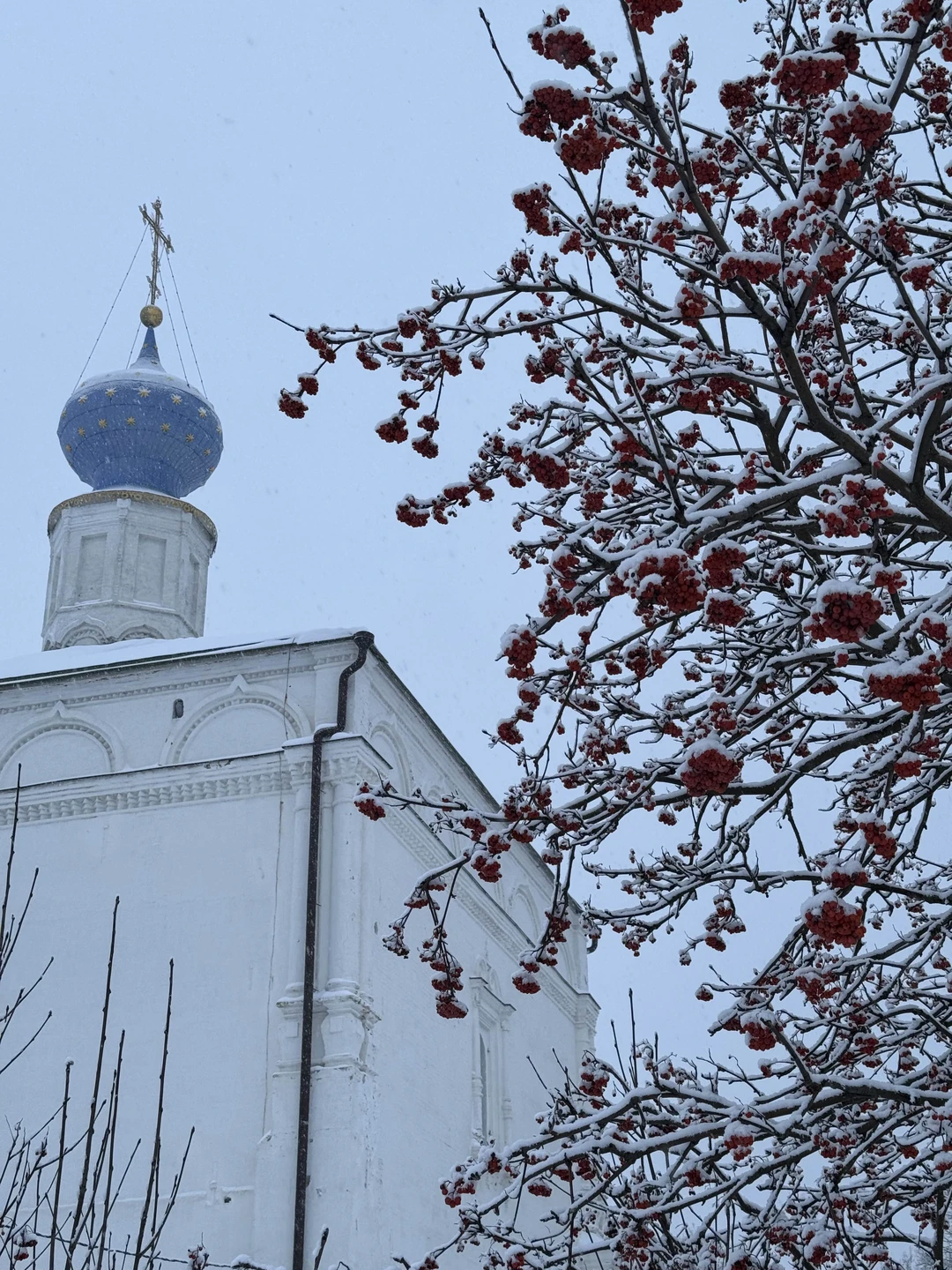 Отзыв о экскурсии "Древнерусская Рязань: обзорная экскурсия" — фото 5