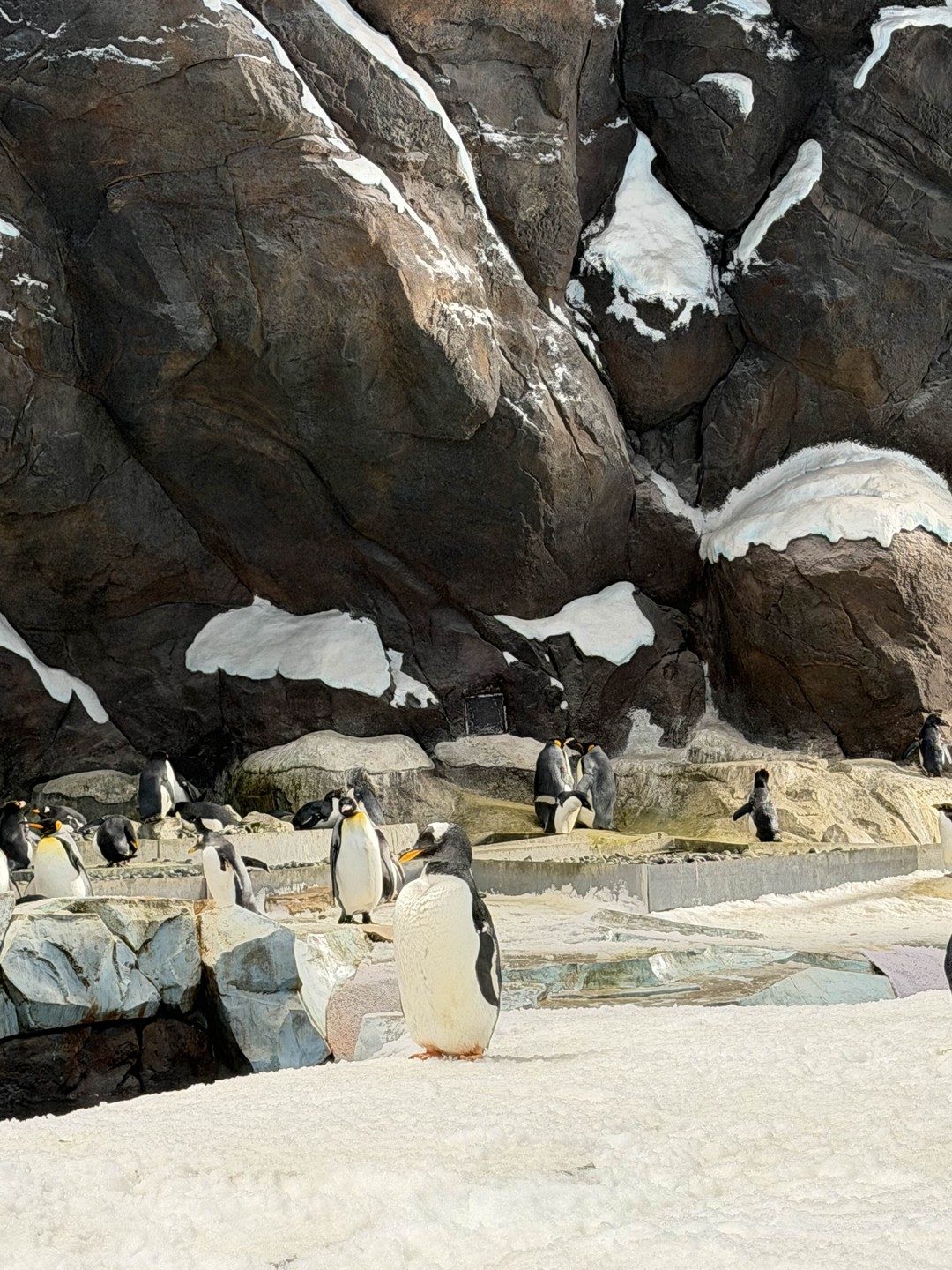 Отзыв о экскурсии "Абу-Даби — столица для всех!" — фото 1