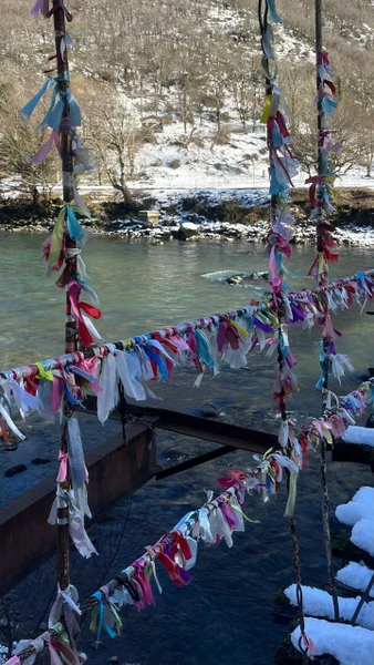 Отзыв о экскурсии "Охотники за мандаринами" — фото 4