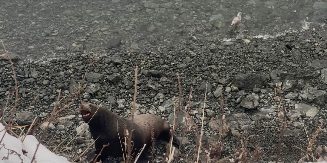 Фото путешественника — 6