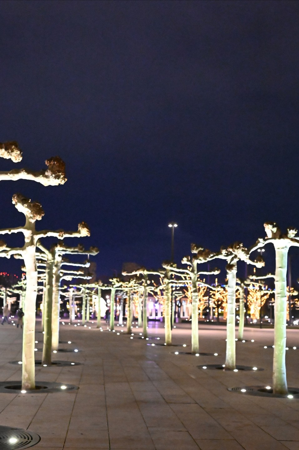 Отзыв о экскурсии "По Краснодару и парку Галицкого (пешком и на машине)" — фото 4