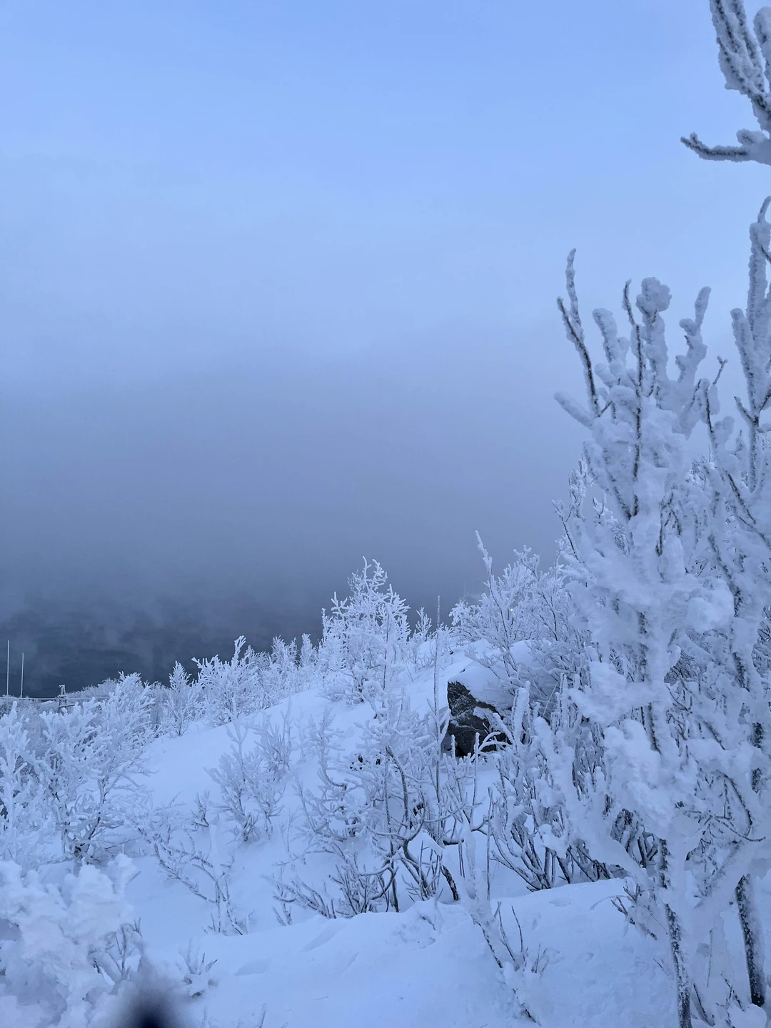 Фото путешественника — 5