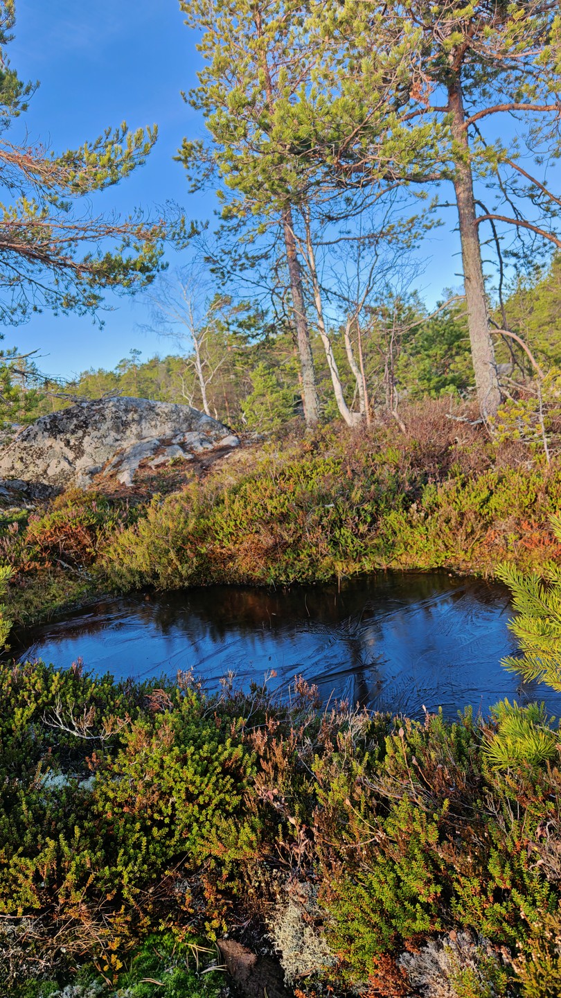 Фото путешественника — 6