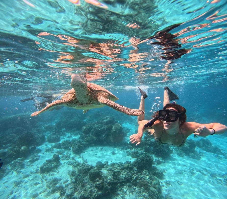 Отзыв о экскурсии "Морская прогулка на частной лодке по островам Гили + снорклинг с черепахами" — фото 5