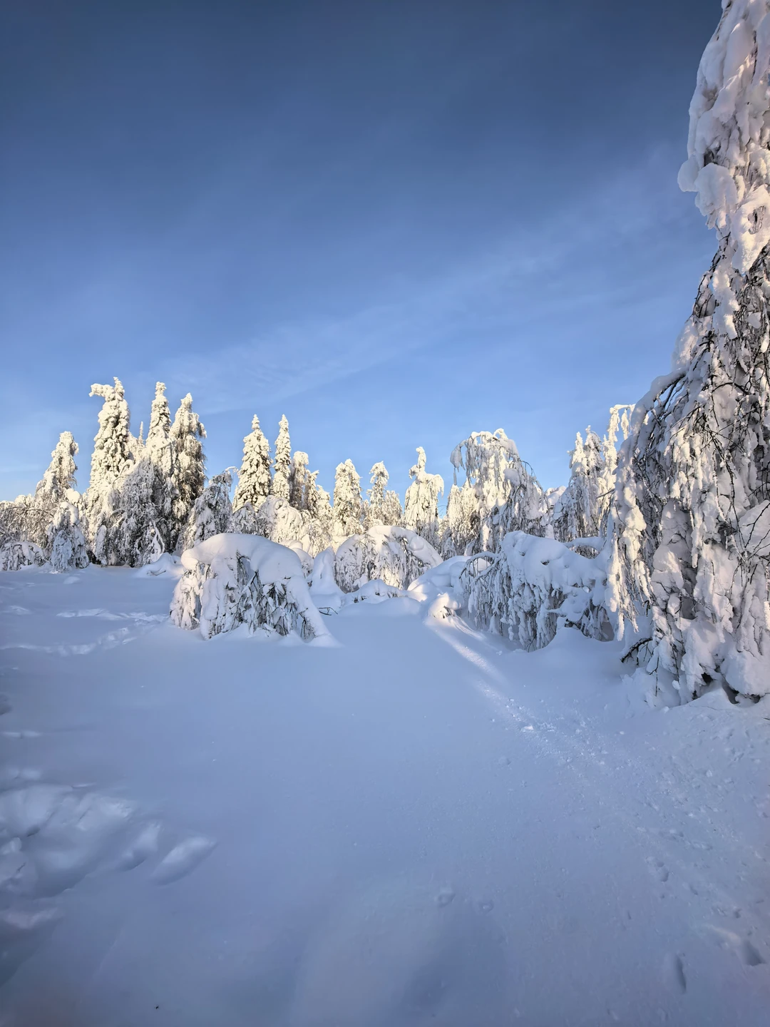 Отзыв о экскурсии "Каменный город и Усьвинские Столбы" — фото 4