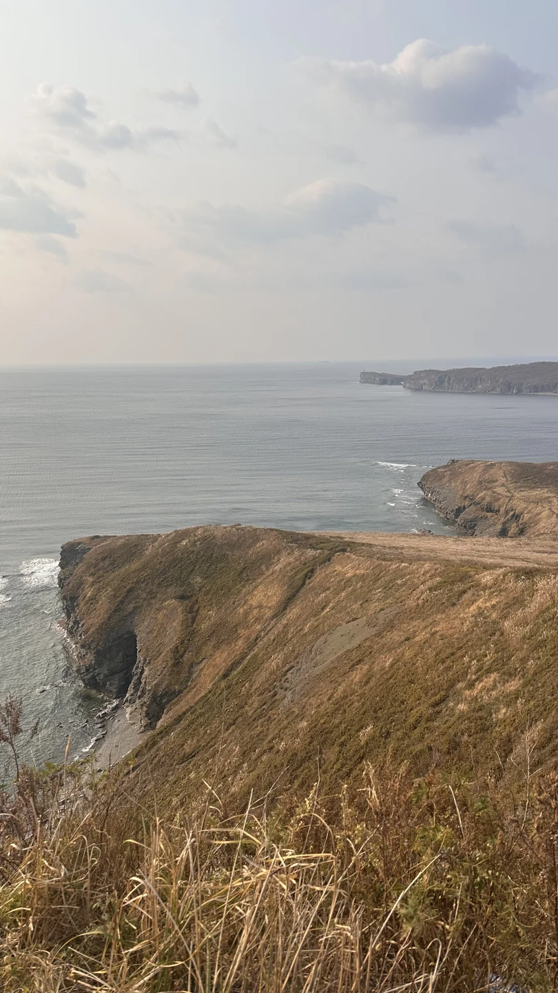 Отзыв о экскурсии "Топ-5 мысов острова Русский!" — фото 7