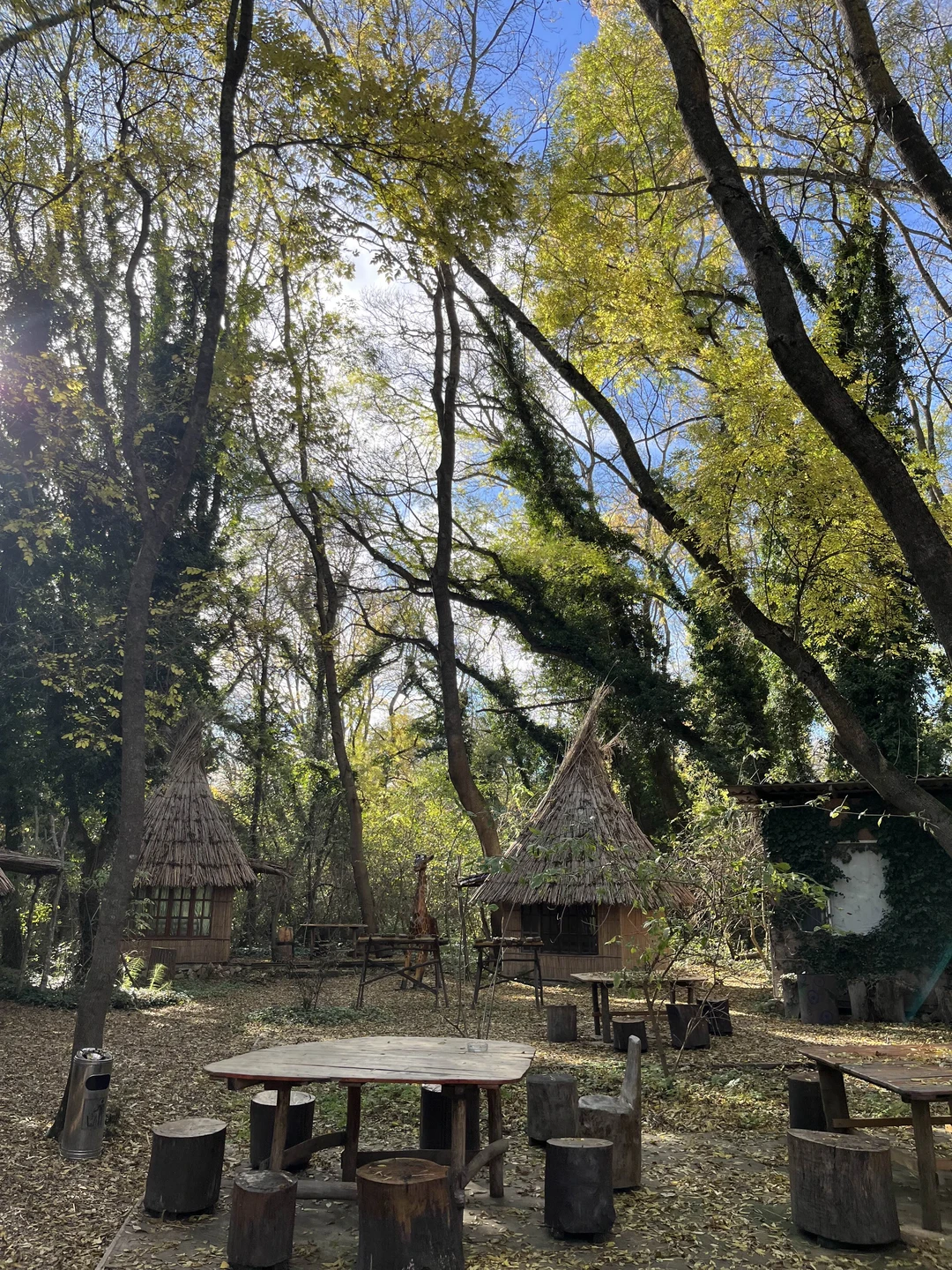 Отзыв о экскурсии "Кипарисовое озеро и развлечения на любой вкус" — фото 3