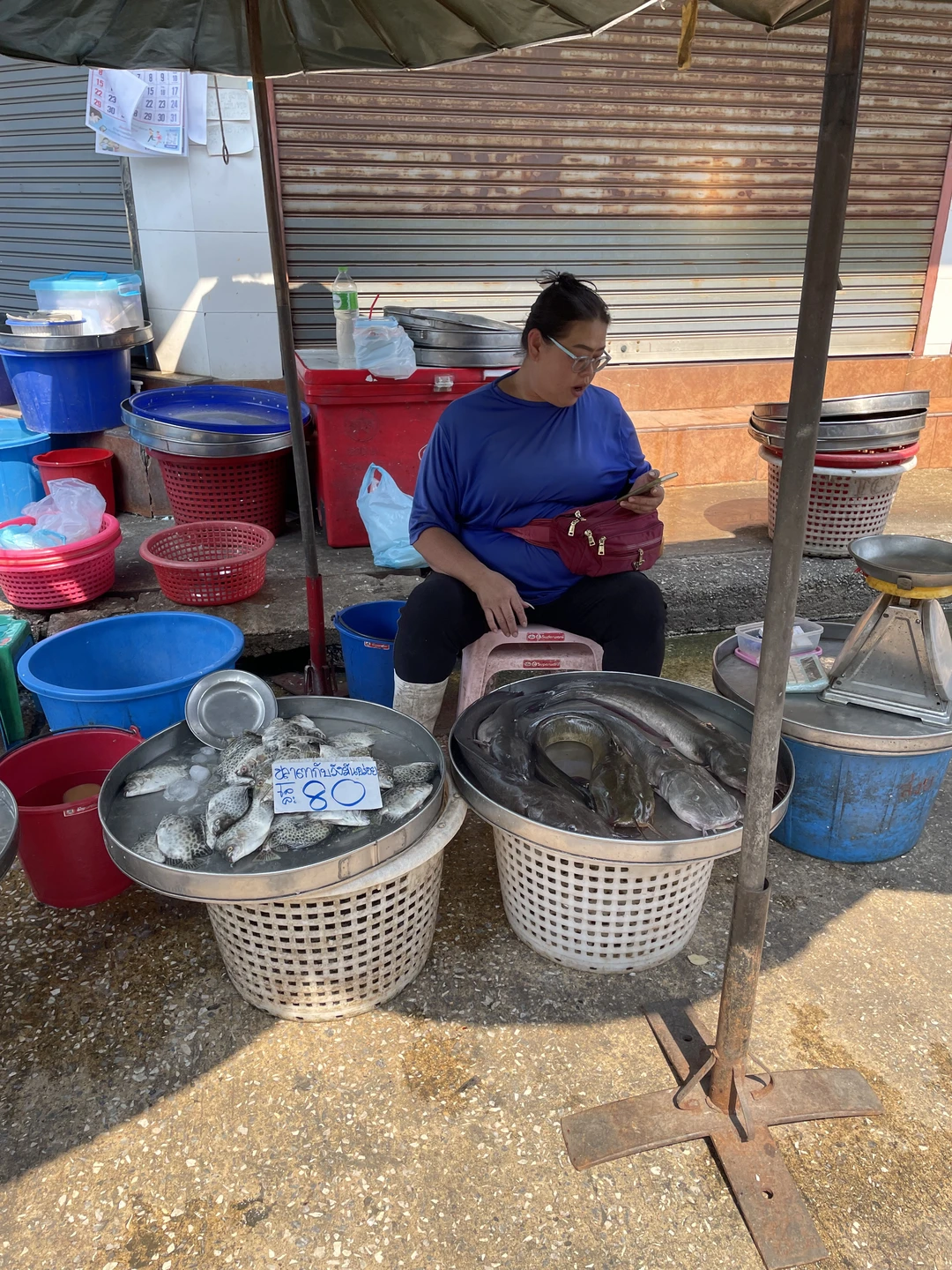 Отзывы об экскурсиях в Бангкоке