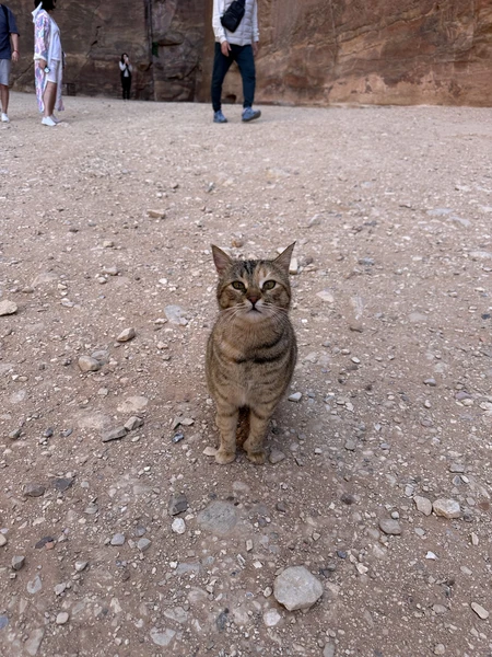 Фото путешественника — 4