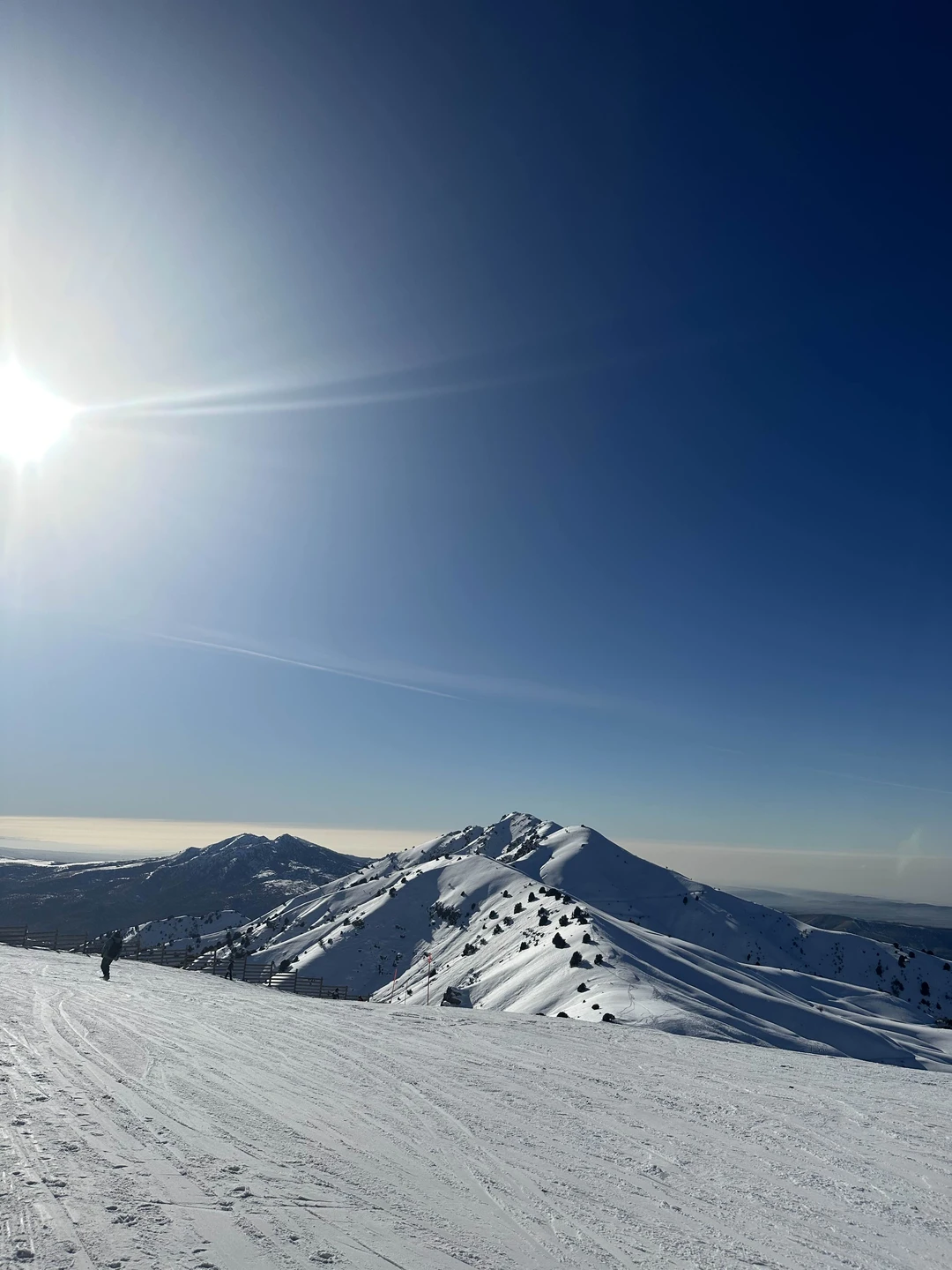 Отзыв о экскурсии "Из Ташкента — к величественным Чимганским горам!" — фото 3
