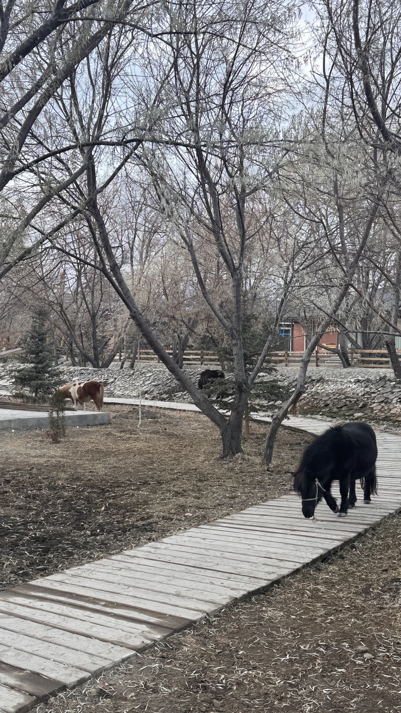 Отзыв о экскурсии "Каньоны Кок-Мойнок и озеро Иссык-Куль из Бишкека" — фото 8