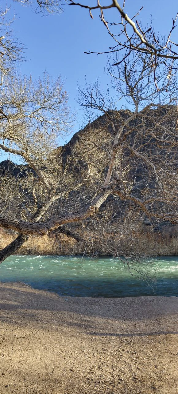 Отзыв о экскурсии "Комфорт-маршрут по озёрам Каинды, Кольсай и Чарынскому каньону" — фото 8