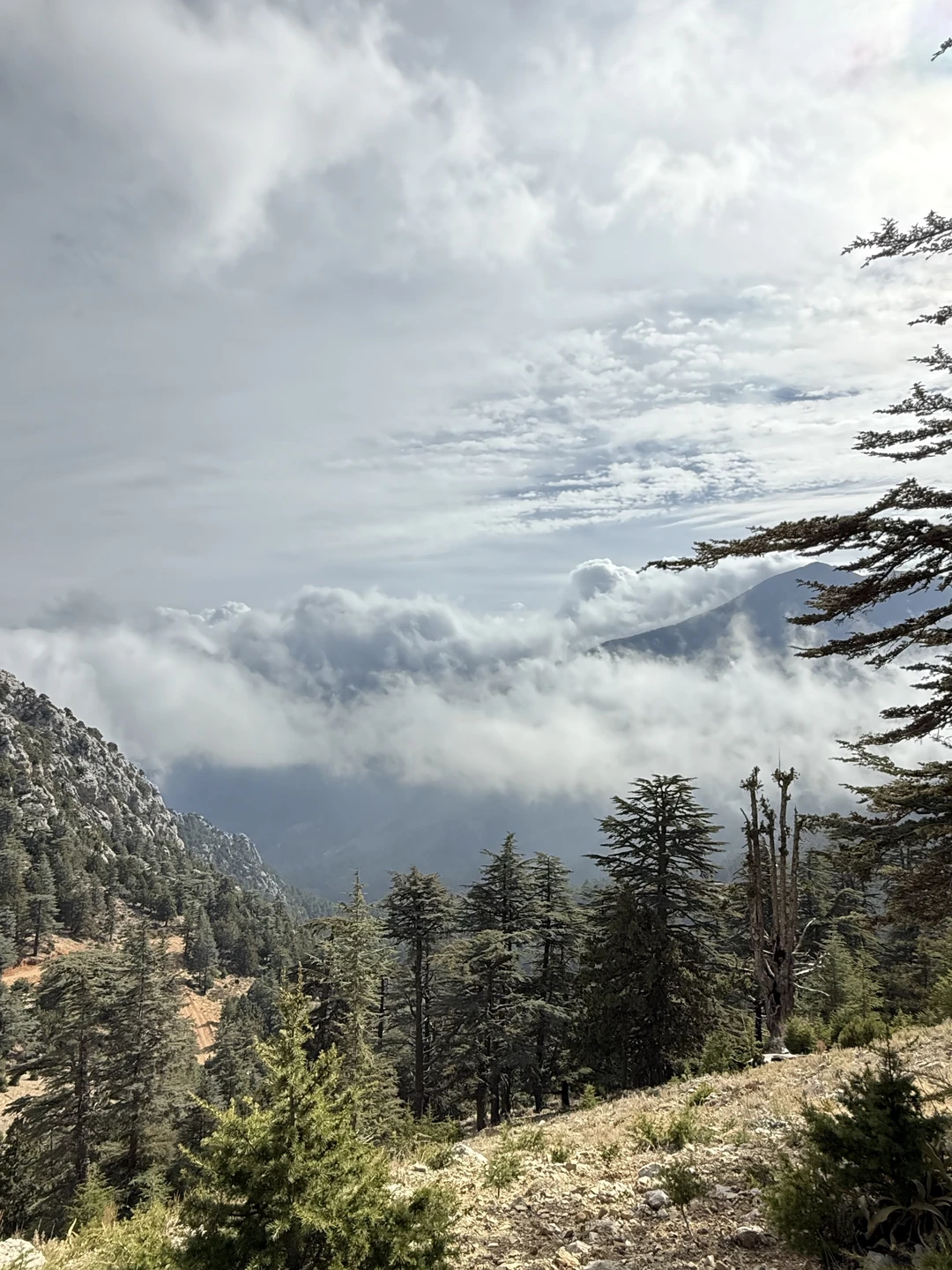 Отзыв о экскурсии "На джипе в горы — туда, где живёт настоящая Турция (из Кемера)" — фото 1
