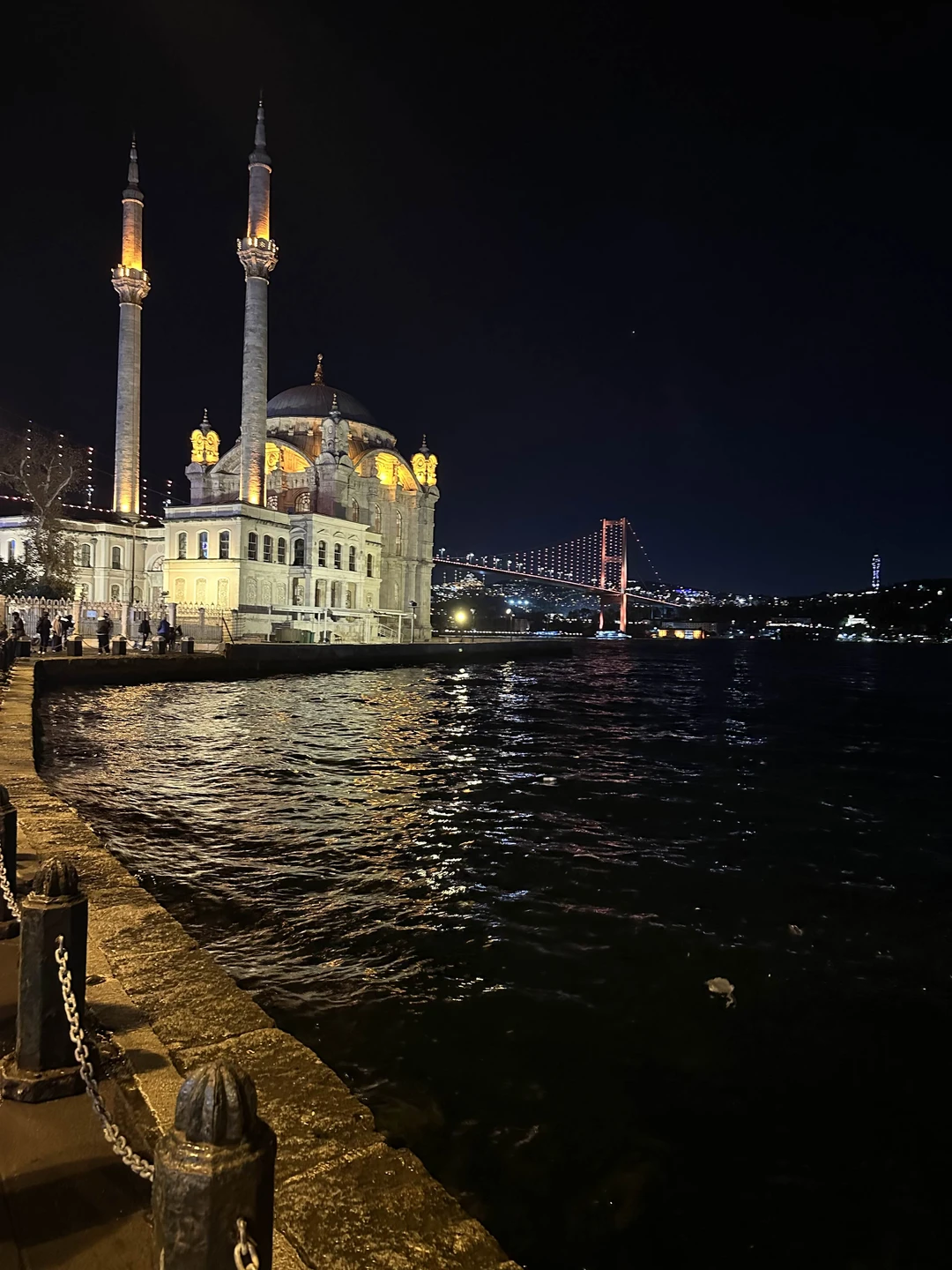 Отзыв о экскурсии "Автопешеходная обзорная экскурсия по Стамбулу" — фото 3