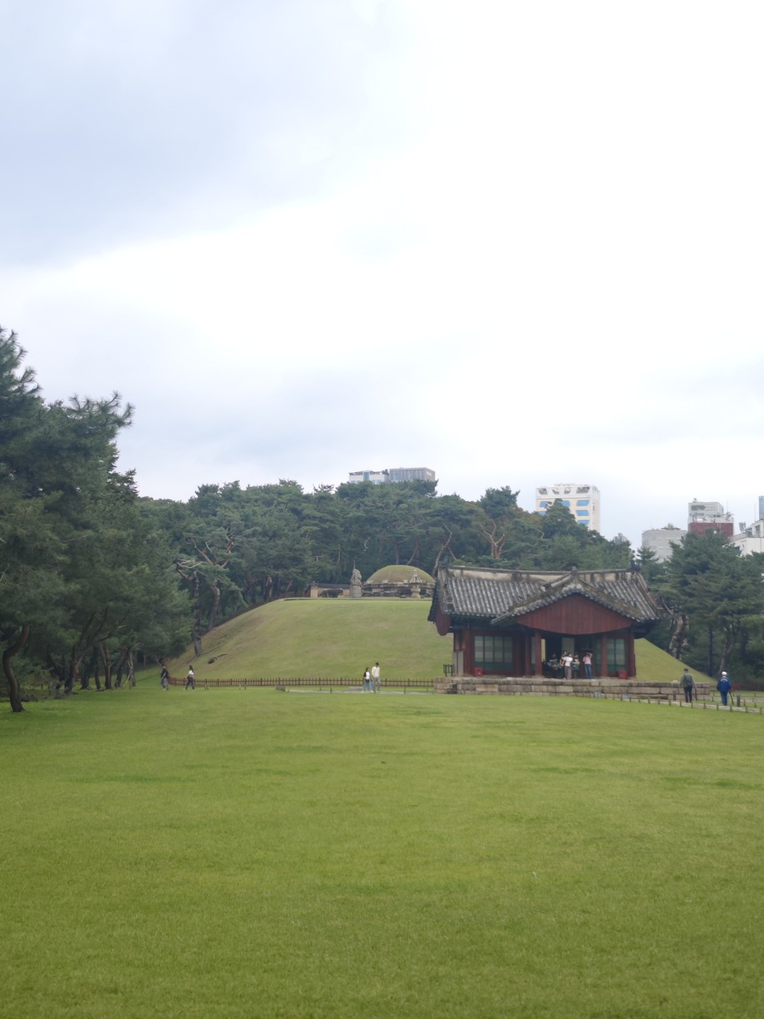 Отзыв о экскурсии "Гангнам вчера и сегодня" — фото 5