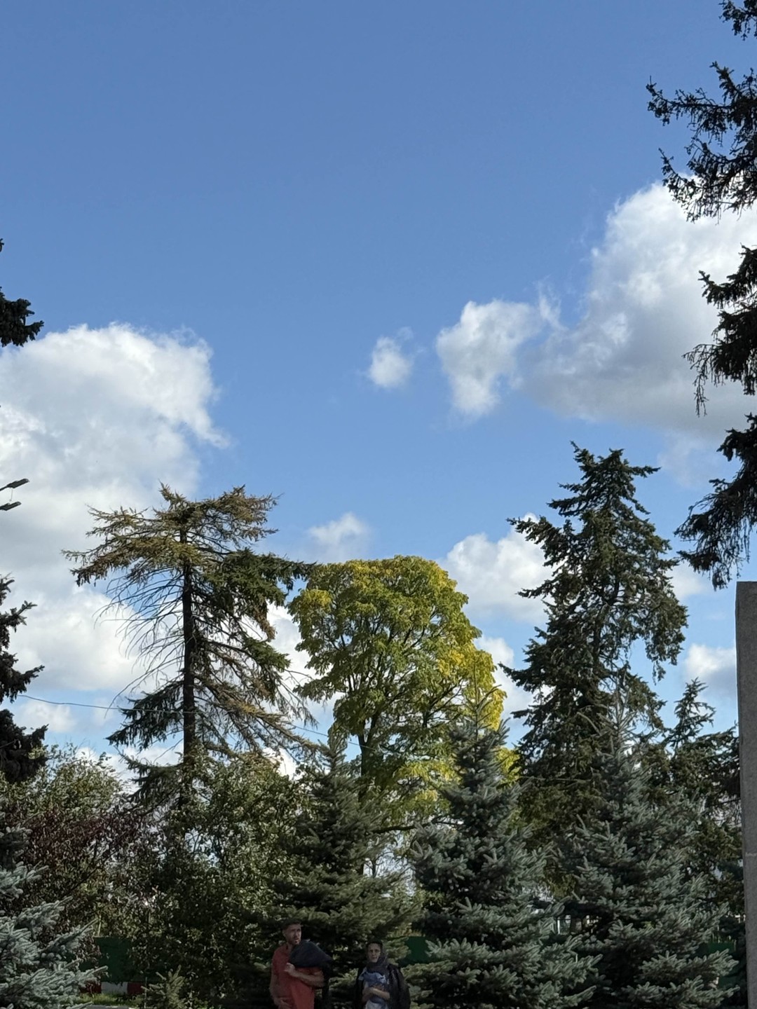 Отзывы об экскурсиях в Ярославле
