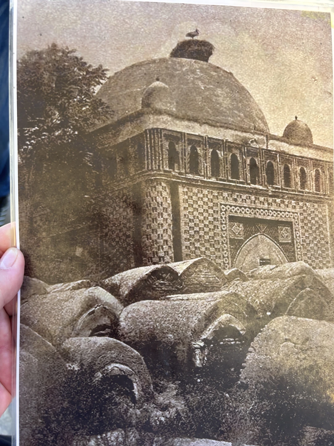 Отзыв о экскурсии "Знакомьтесь, Бухара!" — фото 4