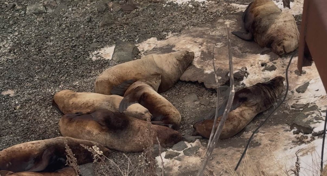 Фото путешественника — 7