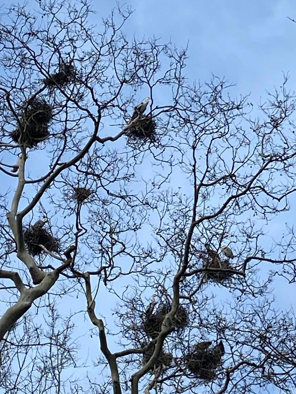 Фото путешественника — 5