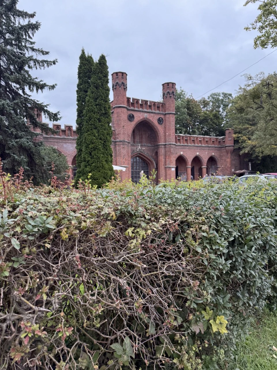 Отзыв о экскурсии "«Сувенирно-подарочный» Калининград + обзорная экскурсия" — фото 3